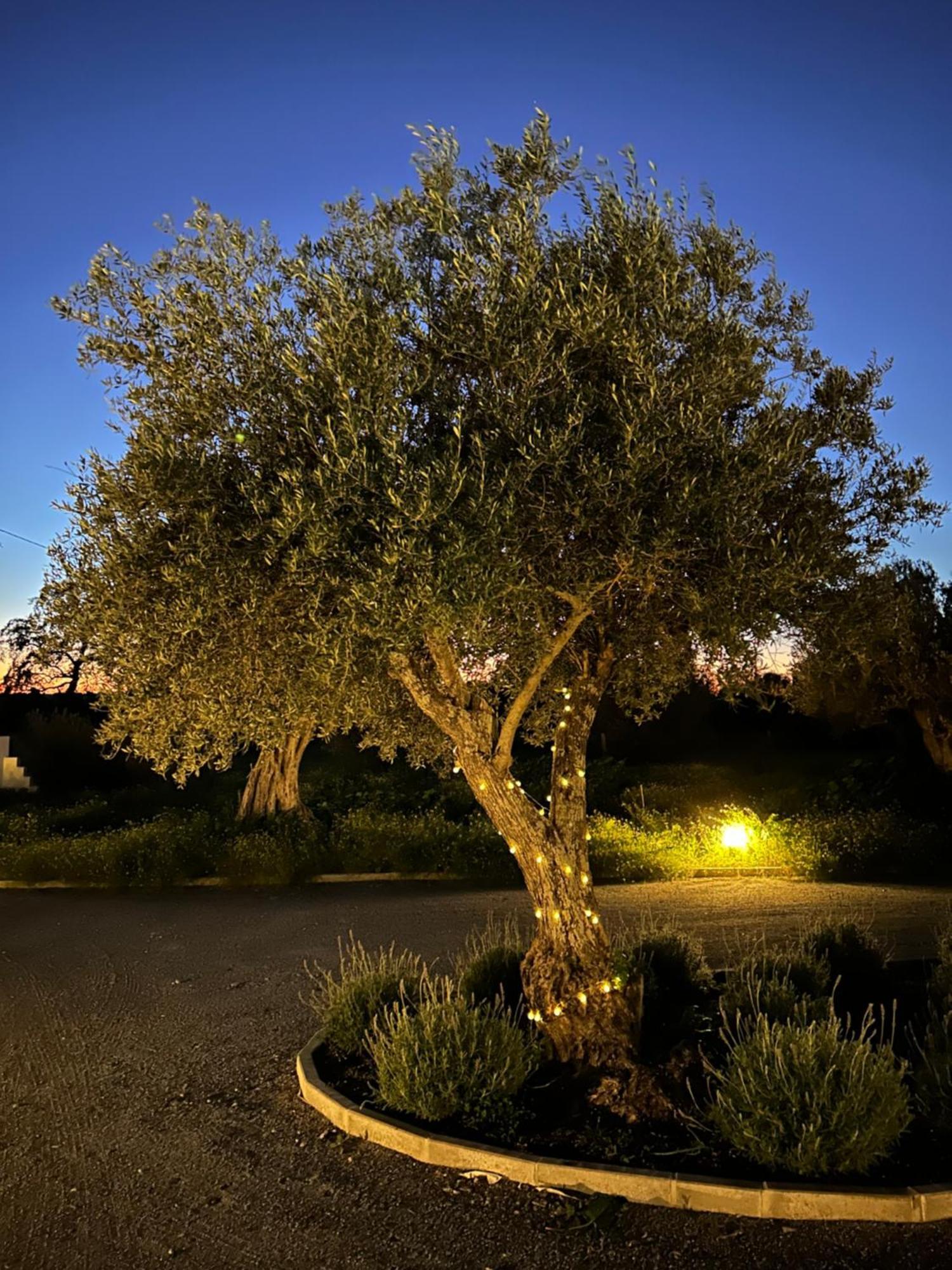 Monte De Santa Maria Villa มอนซาราซ ภายนอก รูปภาพ
